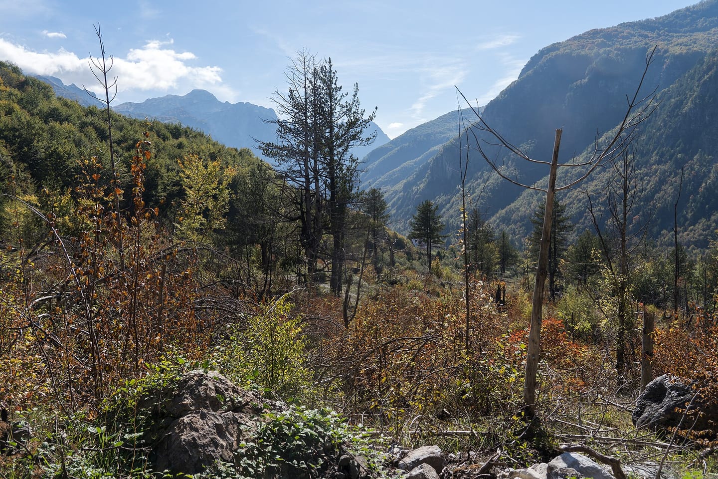 Theth National Park · photo 3