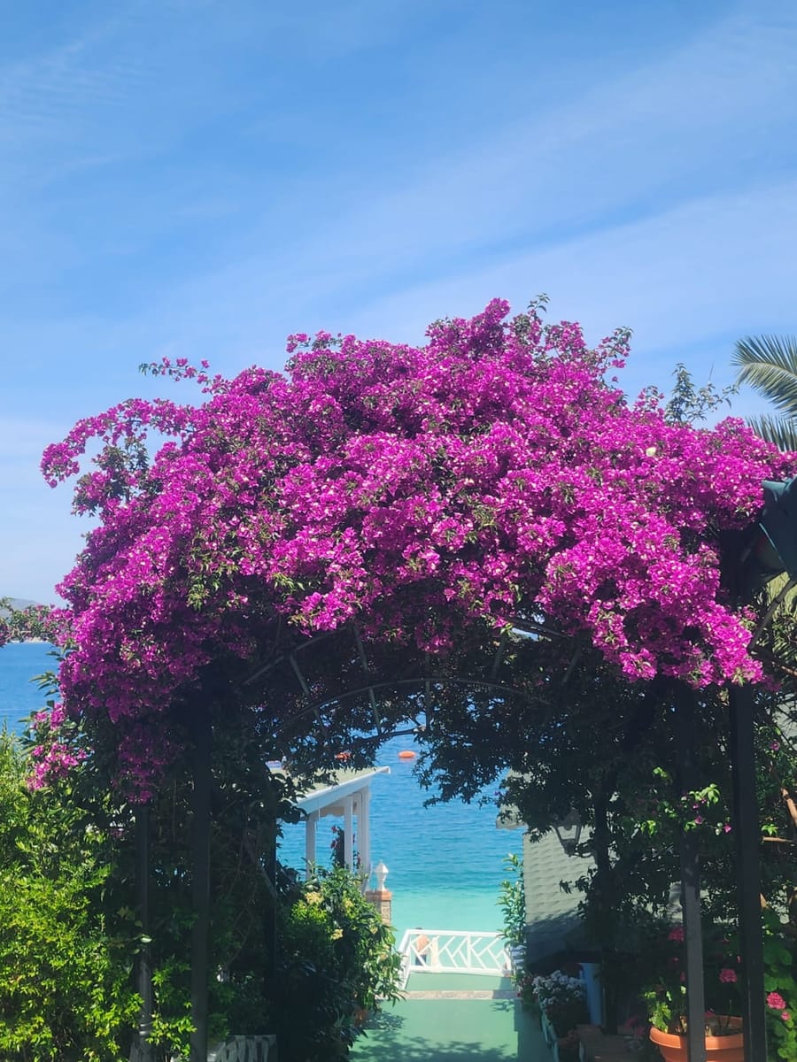 Nature Sightseeing and Heritage in 8 days · from Tirana, Tirana Airport, Durrës, Pristina Airport, Podgorica, Sarandë, Vlorë, Shkodër or Skopje to Albanian Riviera and more · photo 21