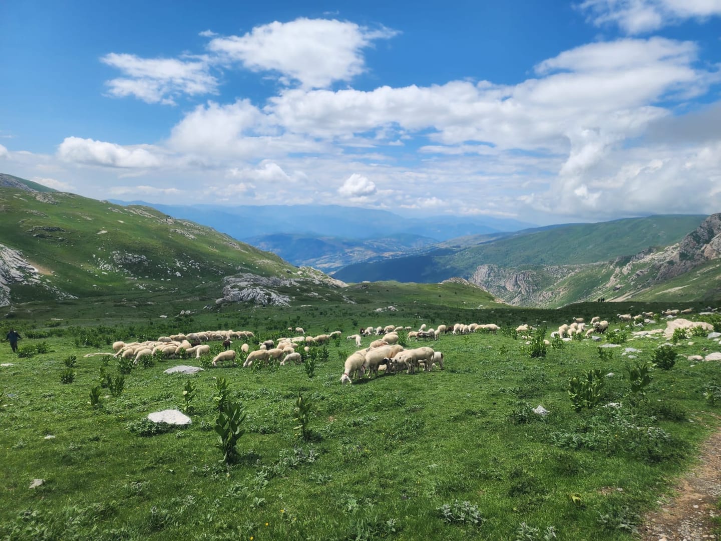 Highest Peaks Challenge: Albania, Montenegro, North Macedonia & Kosovo · from Tirana or Tirana Airport to Korab, Gjeravica, Kolata, Doberdol, Ceremi, Valbona, Komani Lake · photo 19