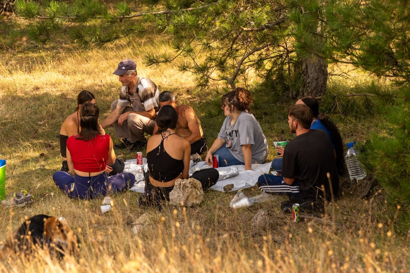 Group picnic under the trees during a riding day