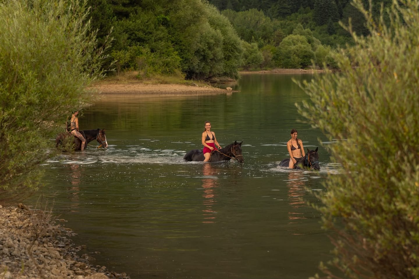 Riders and horses swimming in a river