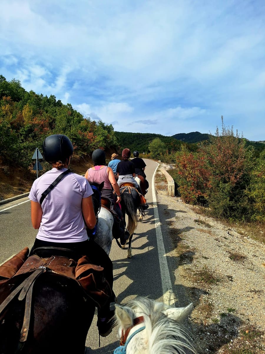 Riders in helmets following a quiet mountain road