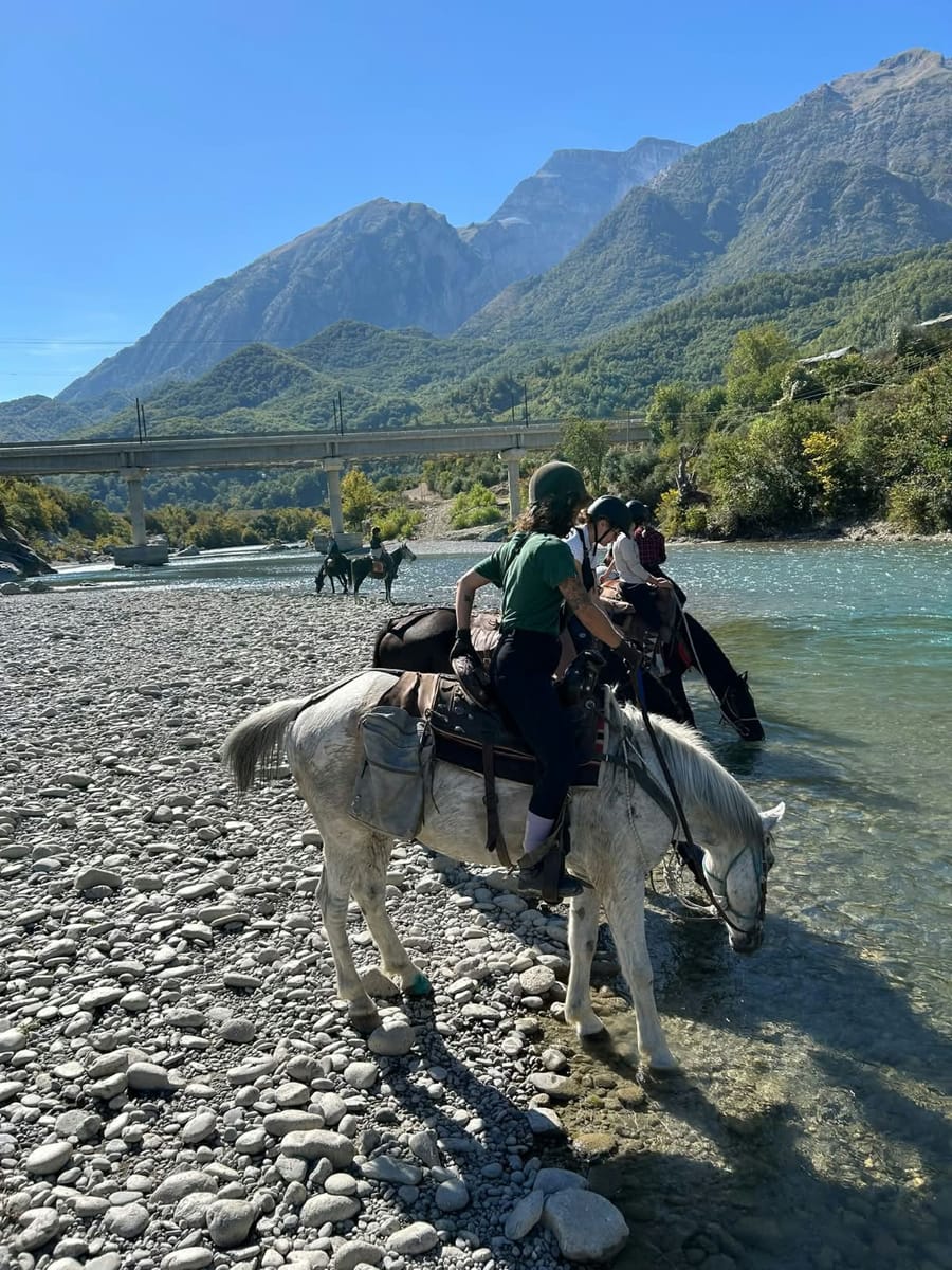 A rider leading a grey horse to drink from the river