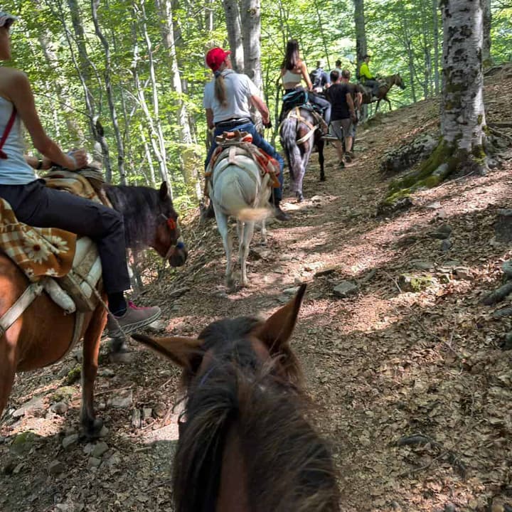 Multi Activity: Shepherd Trails, Mule Trekking & Kayaking