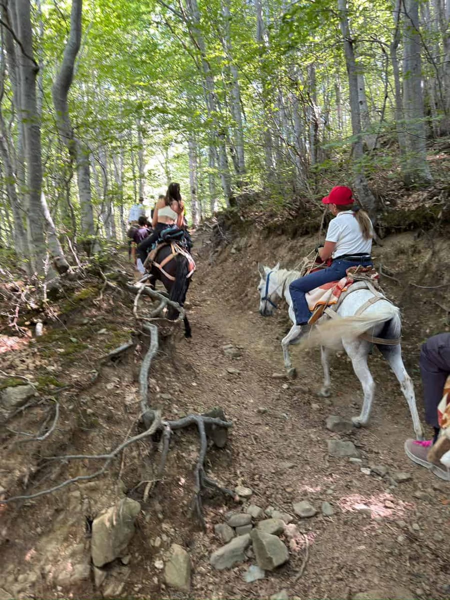 Off the Beaten Path Albania: Shepherd Trails, Mule Trekking & Kayaking — photo 4