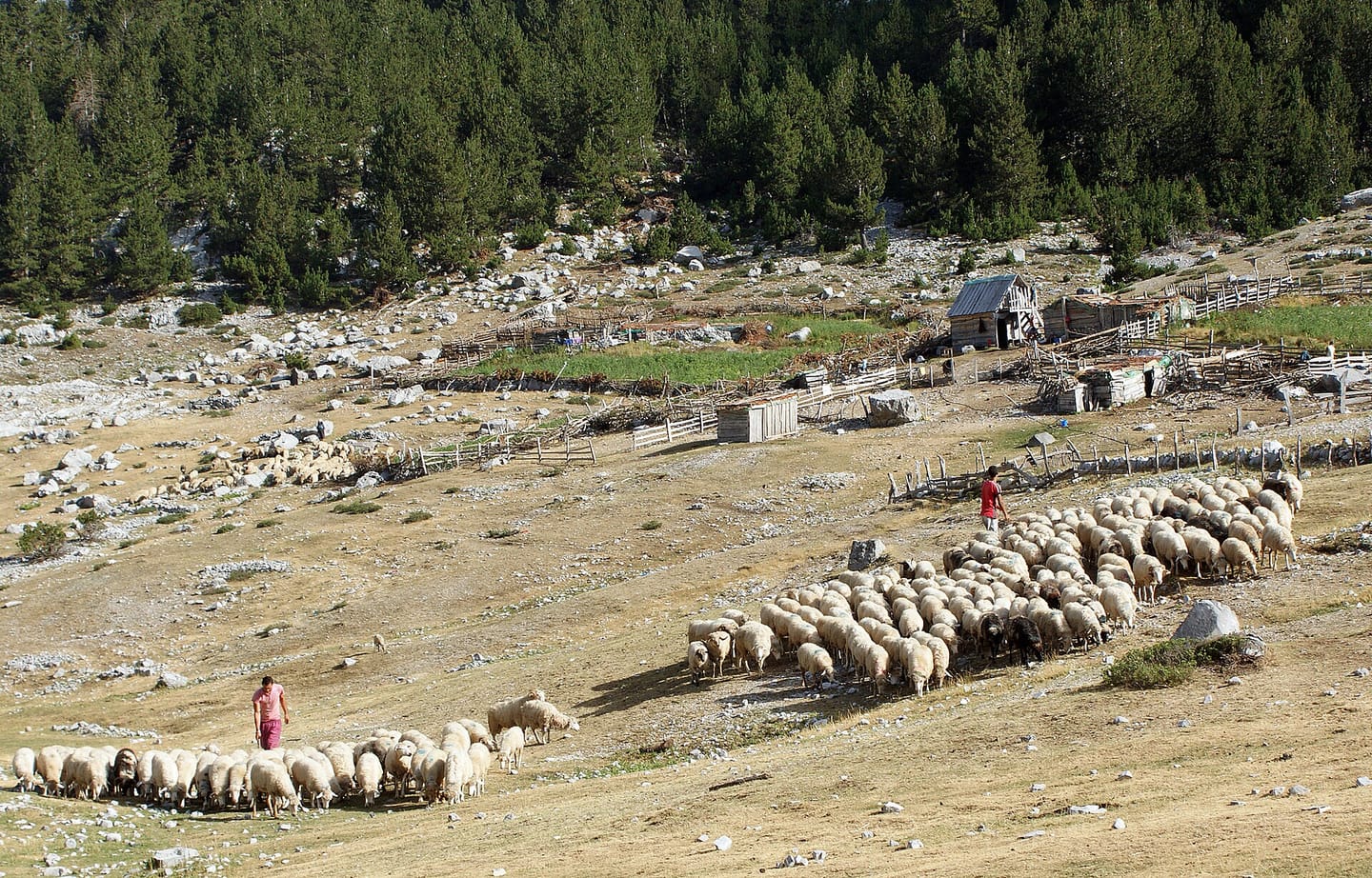 Albanian alps shepherd, on the Off the Beaten Path Albania: Shepherd Trails, Mule Trekking & Kayaking