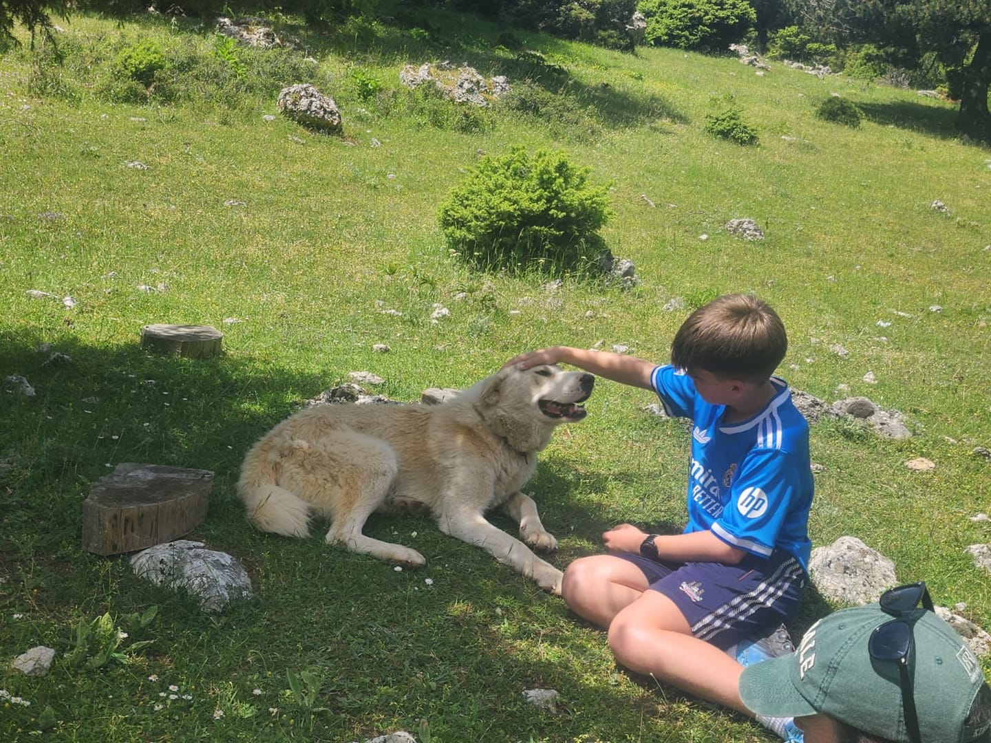 Multi Activity: Shepherd Trails, Mule Trekking & Kayaking · from Tirana or Tirana Airport to Northern Albania · photo 13