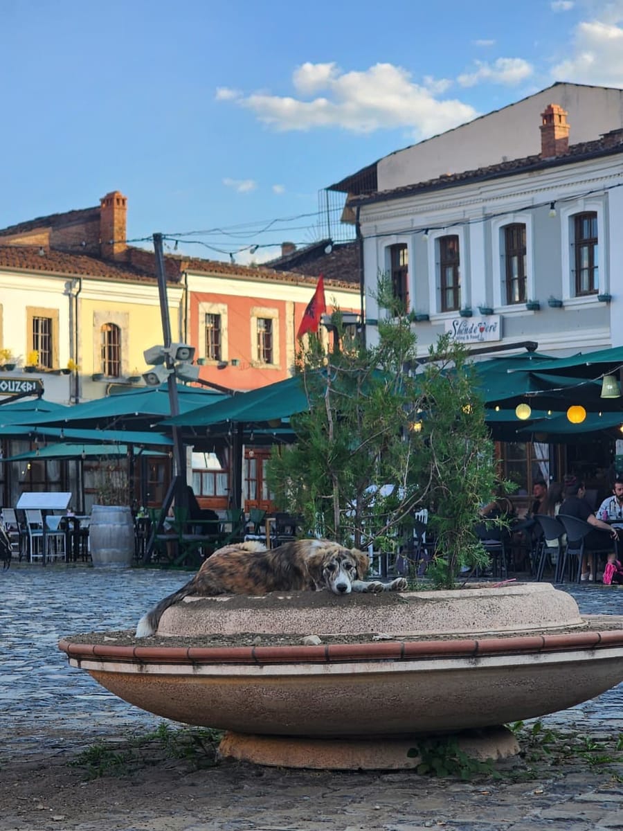 Western Balkans Premium Experience · Albania to Kosovo and Rep North Macedonia · photo 13